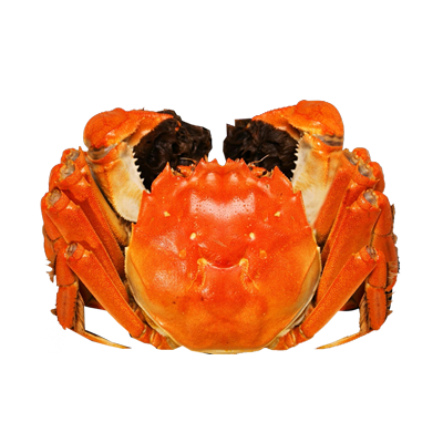 lзϵRӡĺζ